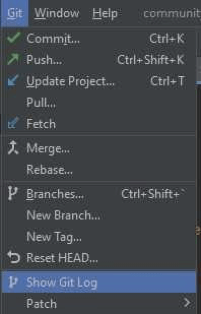 PyCharm Git Log