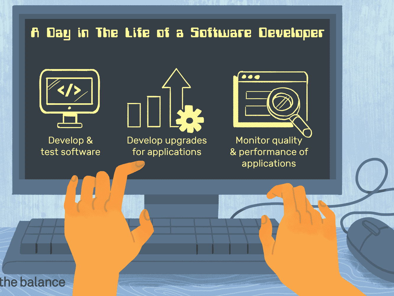 What does a software developer do